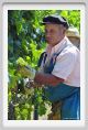 tenuta_di_arceno423