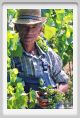 tenuta_di_arceno432
