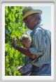 tenuta_di_arceno447