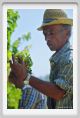 tenuta_di_arceno450