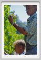 tenuta_di_arceno452