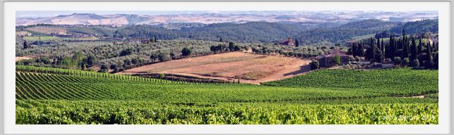 tenuta_di_arceno644