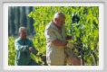 tenuta_di_arceno564