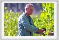 tenuta_di_arceno568
