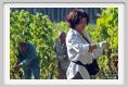 tenuta_di_arceno556