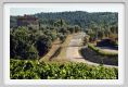 tenuta_di_arceno641