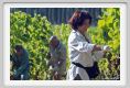 tenuta_di_arceno557