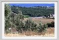 tenuta_di_arceno668