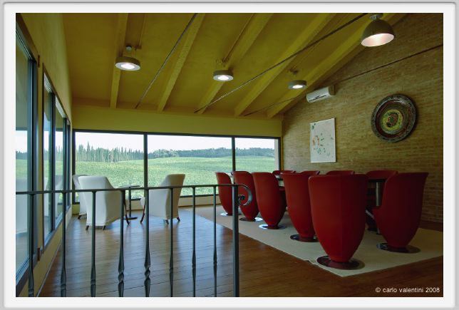 tenuta_di_arceno933