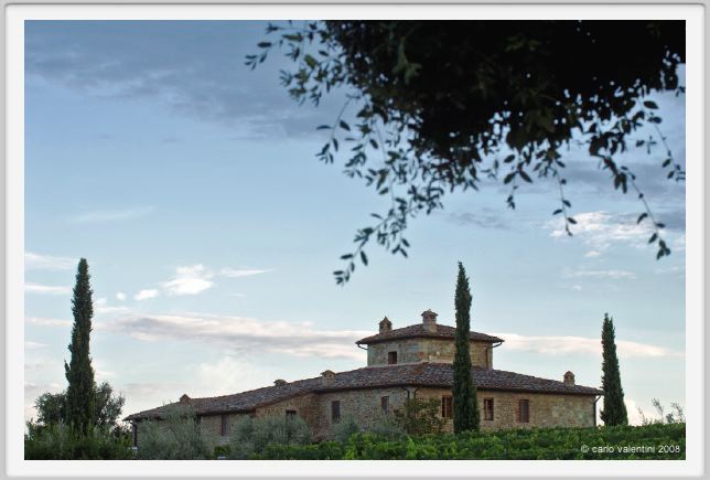 tenuta_di_arceno937