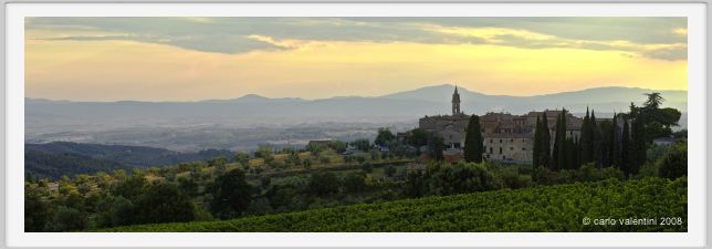 tenuta_di_arceno938