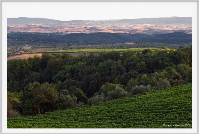 tenuta_di_arceno939
