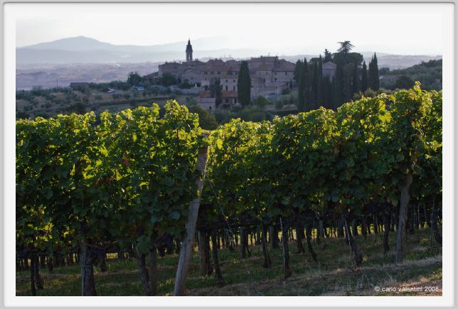 tenuta_di_arceno941