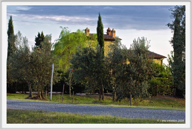 tenuta_di_arceno945