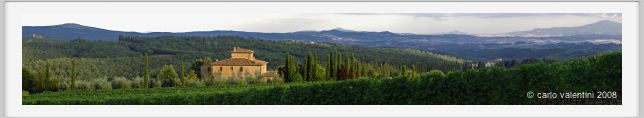 tenuta_di_arceno949