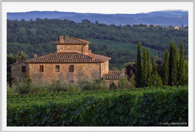 tenuta_di_arceno948