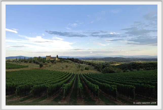 tenuta_di_arceno962