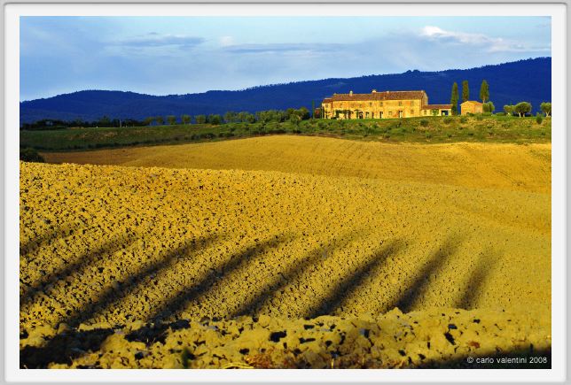 castelnuovo_berardenga009
