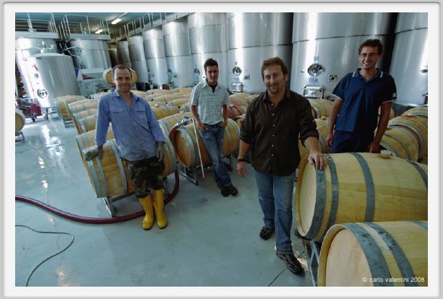 tenuta_di_arceno819