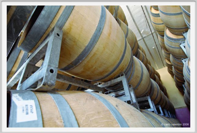 tenuta_di_arceno836