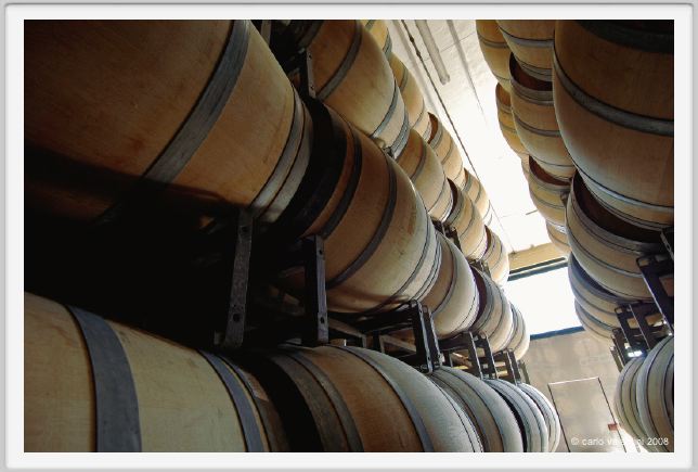 tenuta_di_arceno838