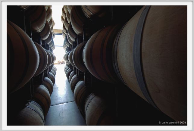 tenuta_di_arceno840