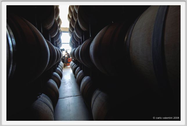 tenuta_di_arceno842