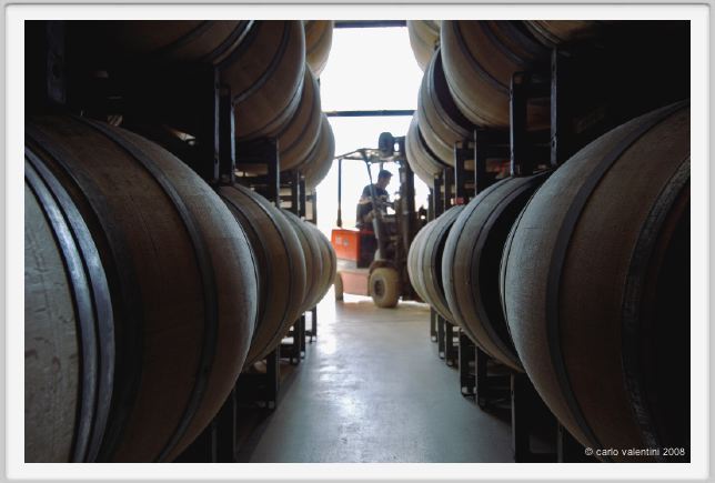tenuta_di_arceno845