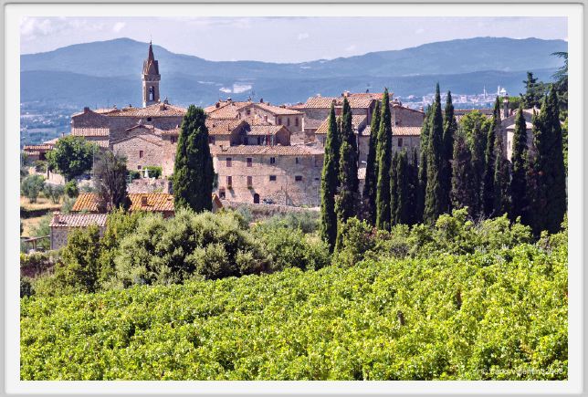 tenuta_di_arceno903
