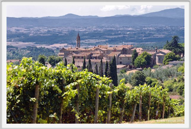 tenuta_di_arceno906