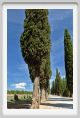 tenuta_di_arceno909