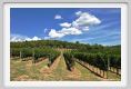 tenuta_di_arceno912