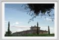 tenuta_di_arceno937