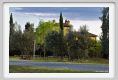 tenuta_di_arceno945