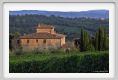 tenuta_di_arceno948