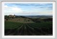 tenuta_di_arceno958