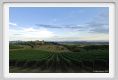 tenuta_di_arceno962