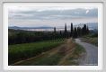 tenuta_di_arceno954