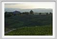 tenuta_di_arceno956