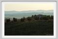 tenuta_di_arceno957