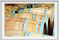 tenuta_di_arceno803