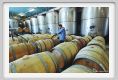 tenuta_di_arceno808