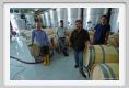 tenuta_di_arceno819