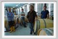 tenuta_di_arceno825