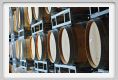 tenuta_di_arceno831