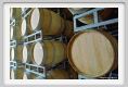 tenuta_di_arceno834