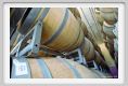 tenuta_di_arceno836