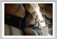 tenuta_di_arceno838