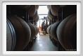 tenuta_di_arceno845