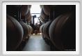 tenuta_di_arceno847
